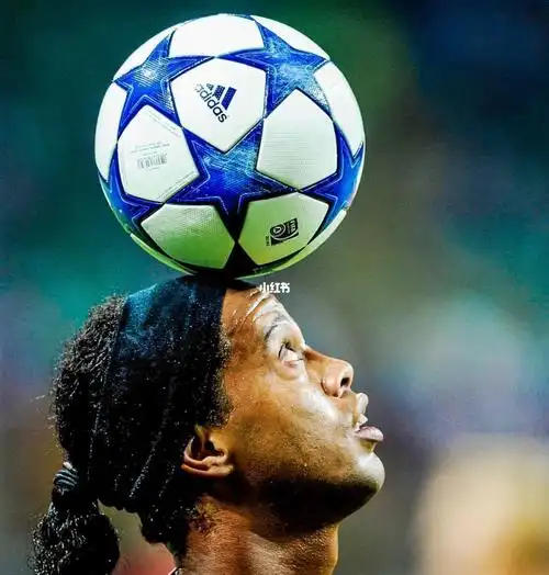 轻人提供了 轻人提供了